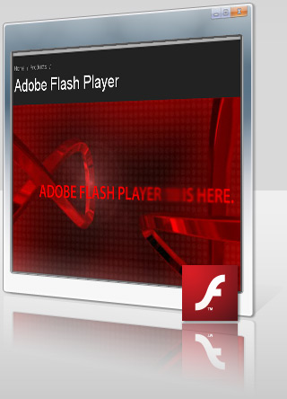 Flash Player